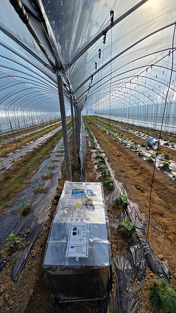 0763535c5cf82c60a2da8c6ef4a99ce2_1776221718_3917.jpg